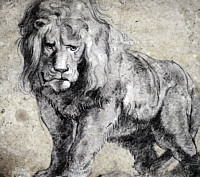 Cybeleia frena leones.   