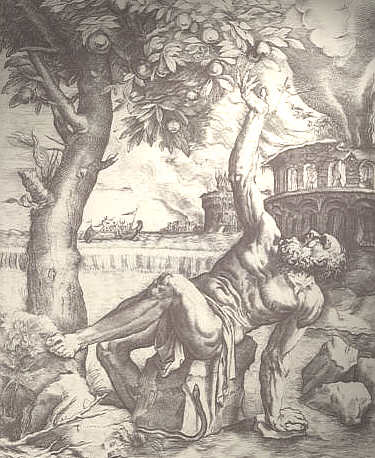Tantalus 