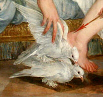  Cythereiadasque columbas 