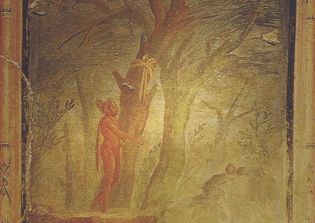 poma concustodita a dracone 