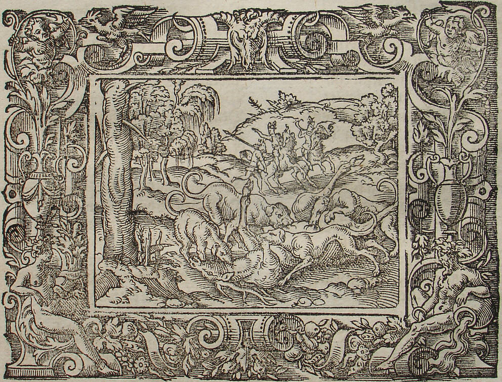 Ovid: Virgil Solis, Edition 1581, imago III.,5; Repro: Hans-Jrgen Gnther