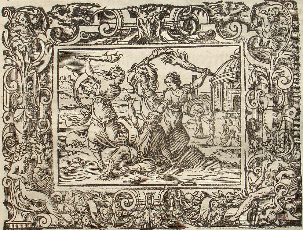 Ovid: Virgil Solis, Edition 1581, imago III.,9; Repro: Hans-Jrgen Gnther