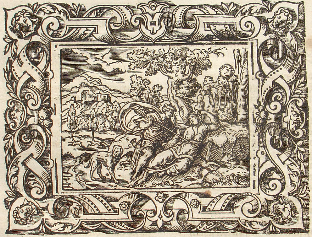 Ovid: Virgil Solis, Edition 1581, imago VII.,14; Repro: Hans-J�rgen G�nther