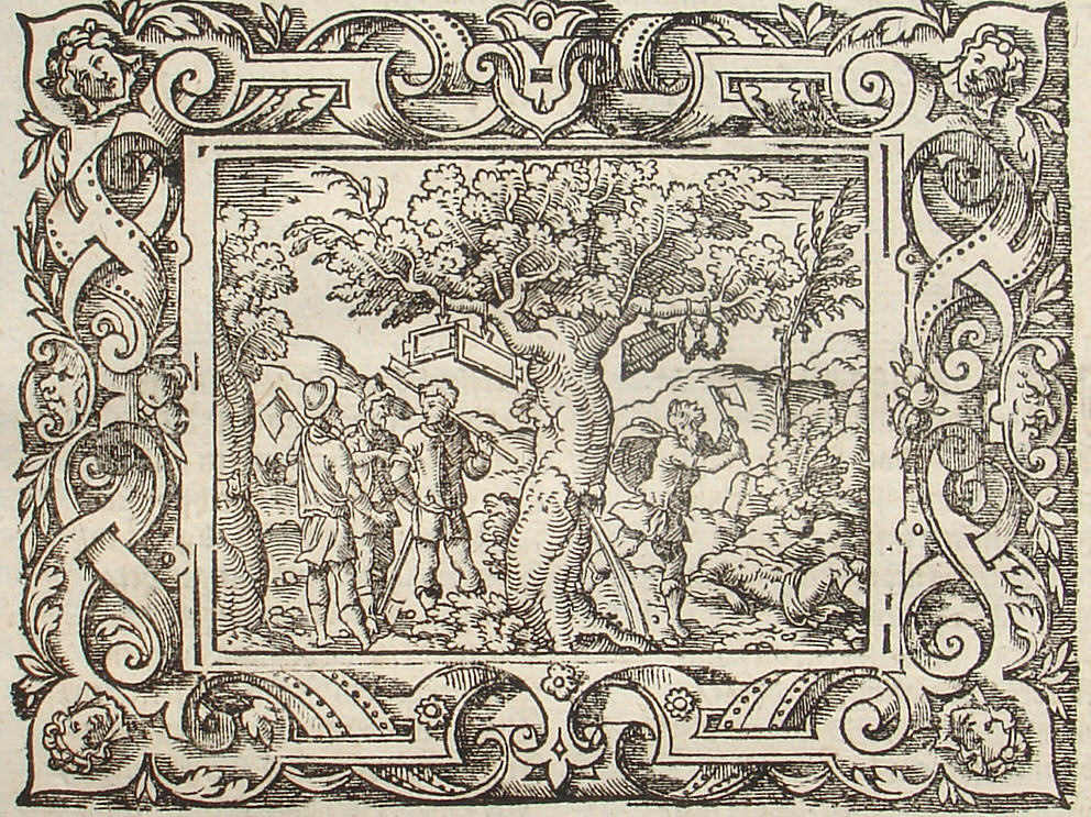 Ovid: Virgil Solis, Edition 1581, imago VIII.,10; Repro: Hans-Jrgen Gnther