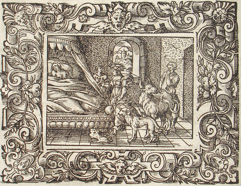 Ovid: Virgil Solis, Edition 1581, imago IX.,9; Repro: Hans-Jrgen Gnther
